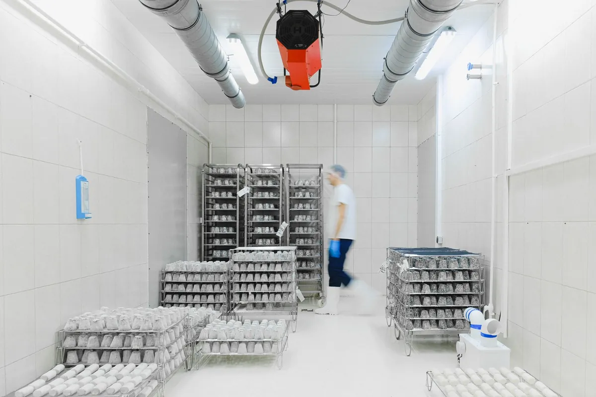Industrie agroalimentaire